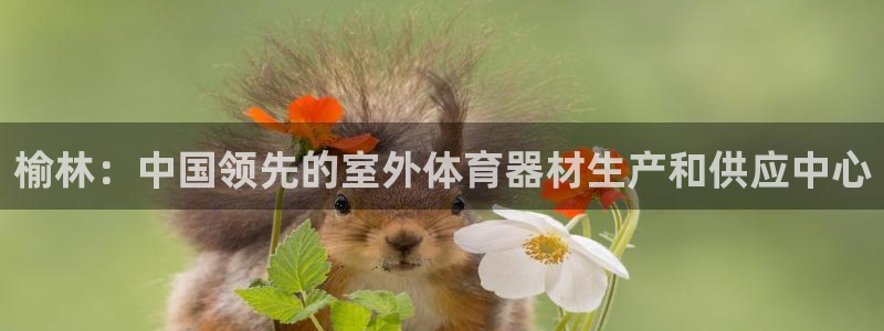 星奥娱乐集团怎么样：榆林：中国领先的室外体育器材生产