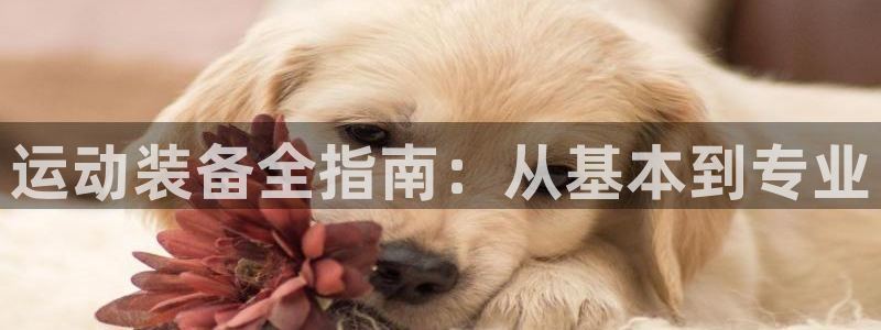 星欧娱乐联客服联系方式：运动装备全指南：从基本到专业