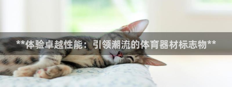星欧娱乐最建议买的三个产品有哪些：**体验卓越性能：