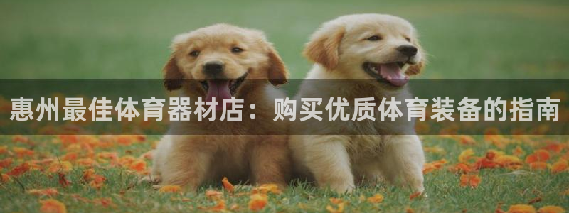 星欧娱乐属于什么档次的公司名称：惠州最佳体育器材店：