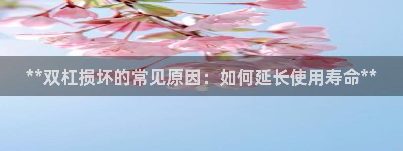 星欧娱乐扣款流程详解：**双杠损坏的常见原因：如何延