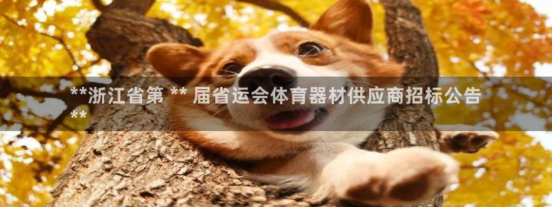 星娱乐online音乐：**浙江省第 ** 届省运会