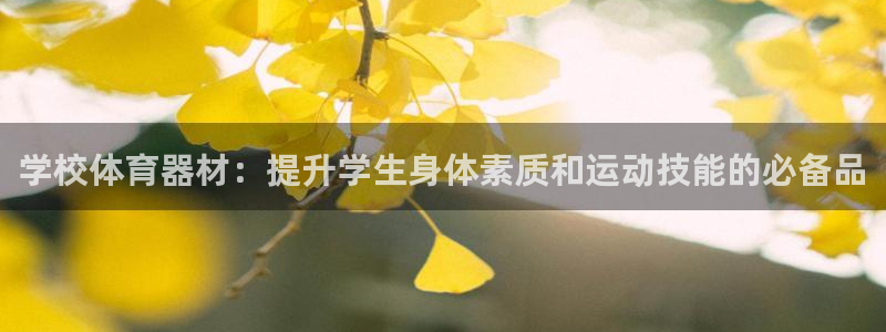 星欧娱乐被扣款7IIII怎么关闭：学校体育器材：提升