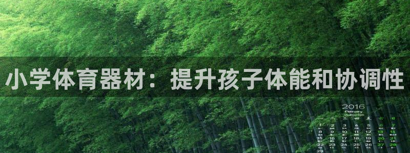 星欧娱乐最建议买的三个产品是什么意思：小学体育器材：