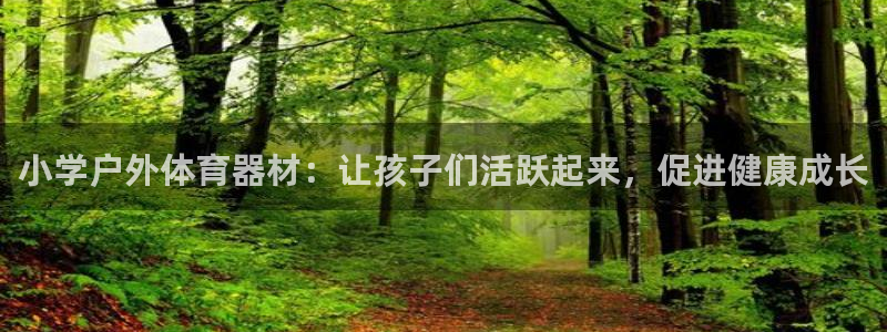 星欧娱乐法711.112扣费如何处理：小学户外体育器
