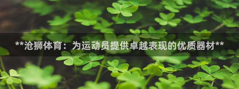 星欧娱乐是正规平台吗安全吗可靠吗：**沧狮体育：为运