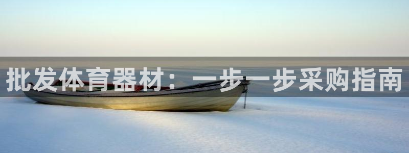 星欧娱乐最建议买的三个游戏：批发体育器材：一步一步采