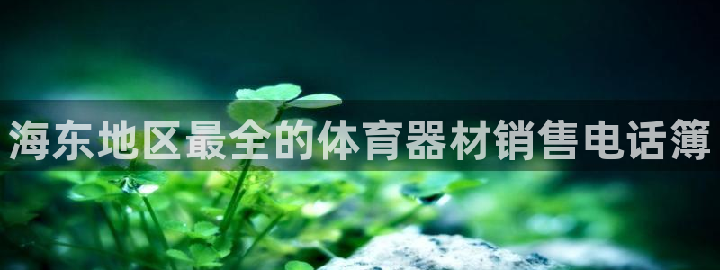 星欧娱乐热最建议去的三个地方：海东地区最全的体育器材