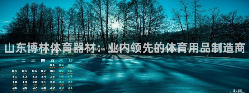 星欧娱乐联最新功能介绍：山东博林体育器材：业内领先的