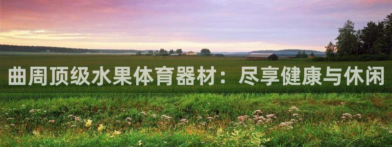星澳娱乐公司简介：曲周顶级水果体育器材：尽享健康与休