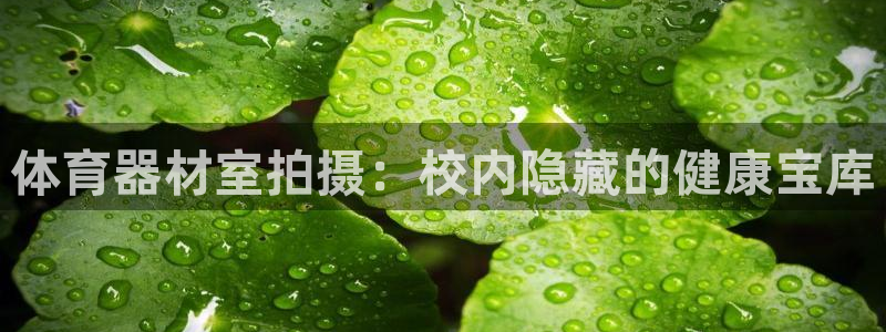 星欧娱乐官网下载安卓：体育器材室拍摄：校内隐藏的健康