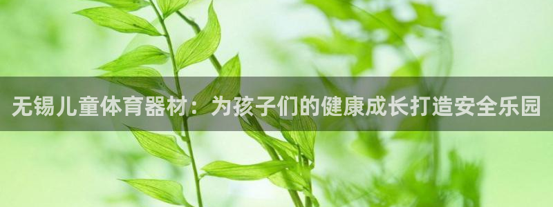 星欧娱乐官网下载安装：无锡儿童体育器材：为孩子们的健