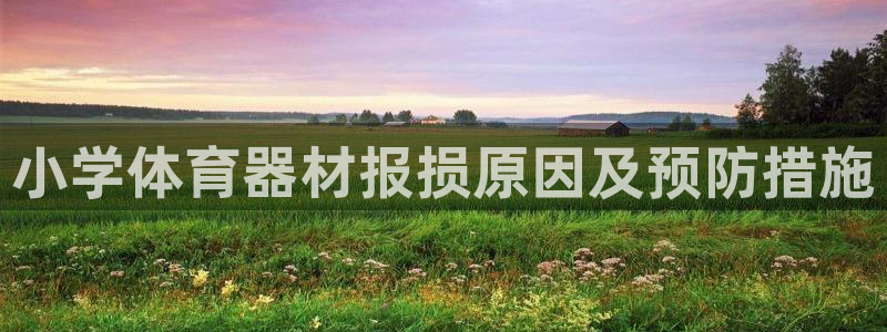 星欧娱乐官网下载安装：小学体育器材报损原因及预防措施