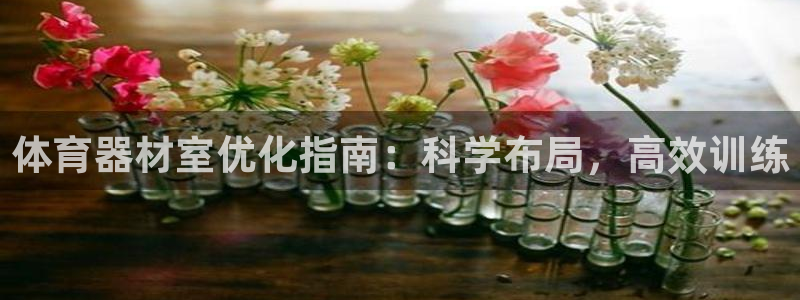 星欧娱乐扣款时间查询方法怎么查：体育器材室优化指南：