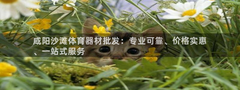 星欧娱乐扣款时间查询方法怎么查不到：咸阳沙滩体育器材