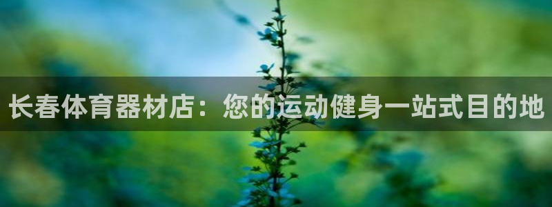 星欧娱乐app最新版本更新内容下载：长春体育器材店：
