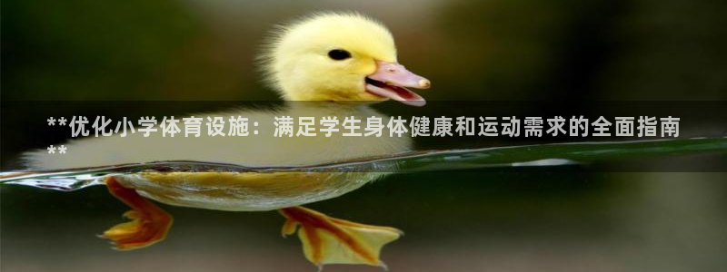 星欧娱乐总代.直开.中国：**优化小学体育设施：满足