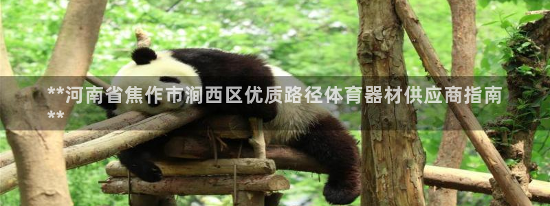 星欧娱乐是正规品牌吗：**河南省焦作市涧西区优质路径