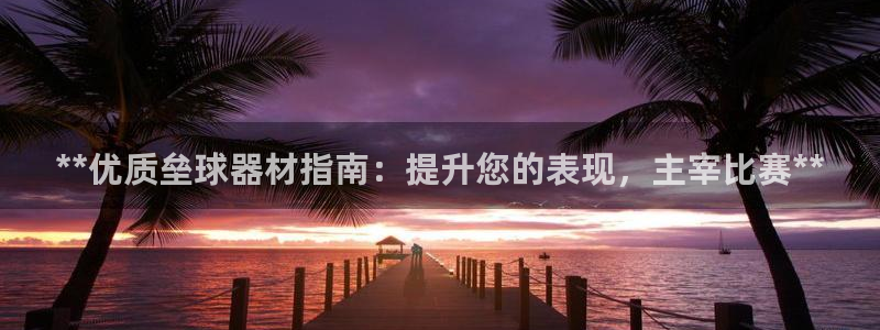 星奥娱乐集团：**优质垒球器材指南：提升您的表现，主