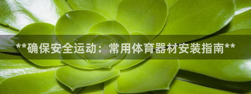 星欧娱乐平台怎么样啊知乎：**确保安全运动：常用体育