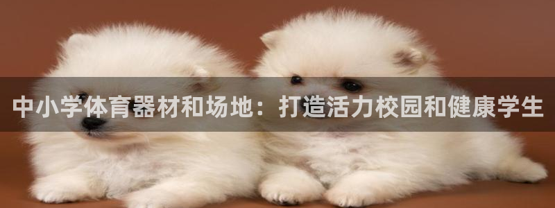 星欧娱乐游戏中心官网登录：中小学体育器材和场地：打造