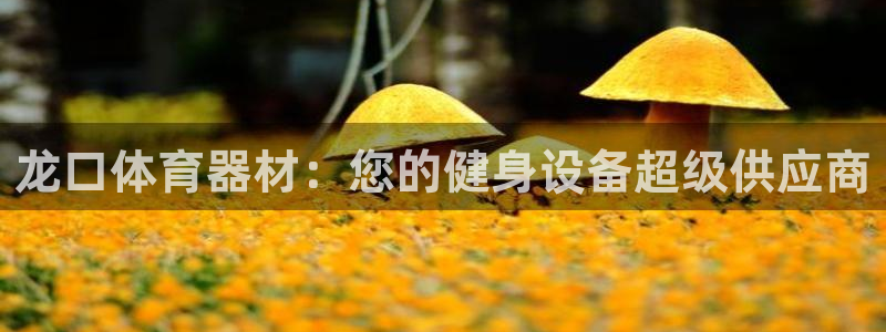 江苏星奥娱乐招艺人：龙口体育器材：您的健身设备超级供