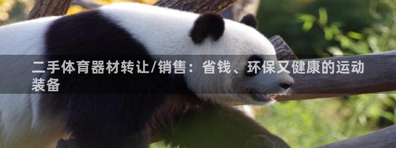 星欧娱乐官方客服联系方式查询：二手体育器材转让/销售