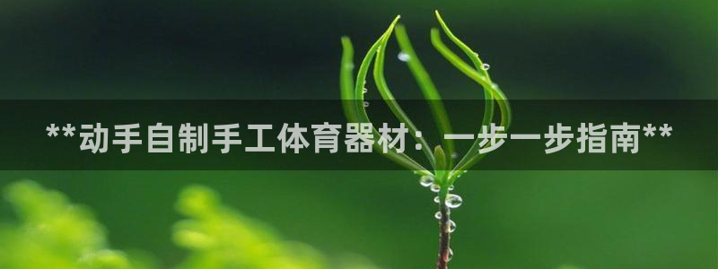 星欧娱乐挂机教程：**动手自制手工体育器材：一步一步