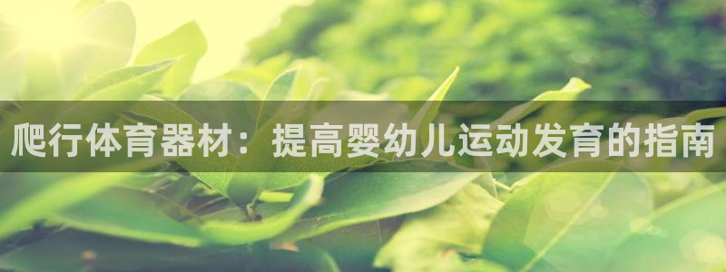 永韬星娱乐：爬行体育器材：提高婴幼儿运动发育的指南