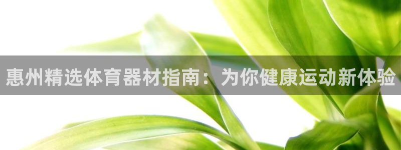星娱乐online创作的原声这个歌曲叫什么名字：惠州