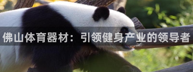 星欧娱乐公司电话号码查询：佛山体育器材：引领健身产业