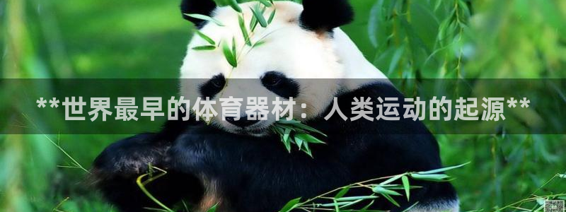 星欧娱乐扣款流程详解视频：**世界最早的体育器材：人