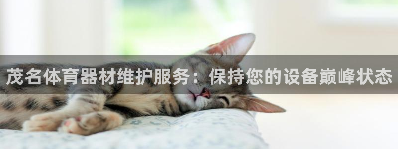 星欧娱乐彩票软件下载安装