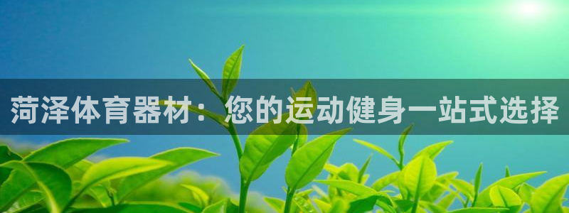 星欧娱乐平台怎么样：菏泽体育器材：您的运动健身一站式