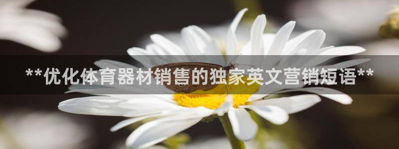 星欧娱乐公司创始人背景故事简介：**优化体育器材销售