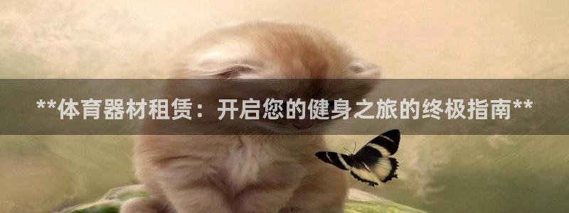 星欧娱乐法711.112不退款后果：**体育器材租赁