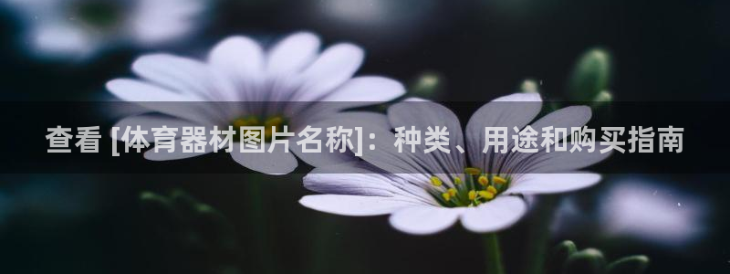 星娱乐包月业务是什么：查看 [体育器材图片名称]：种