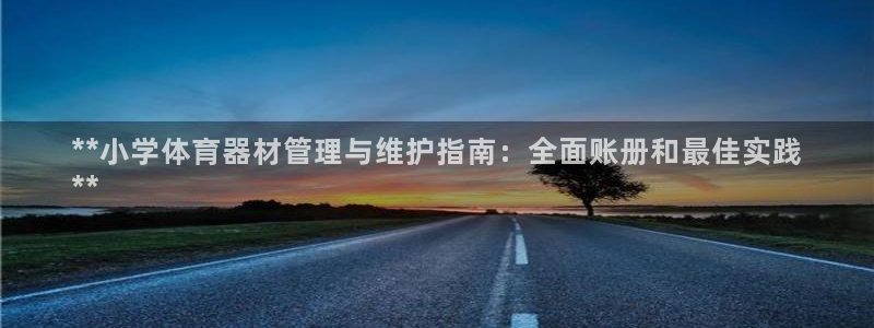 星欧娱乐app最新版本更新内容下载：**小学体育器材