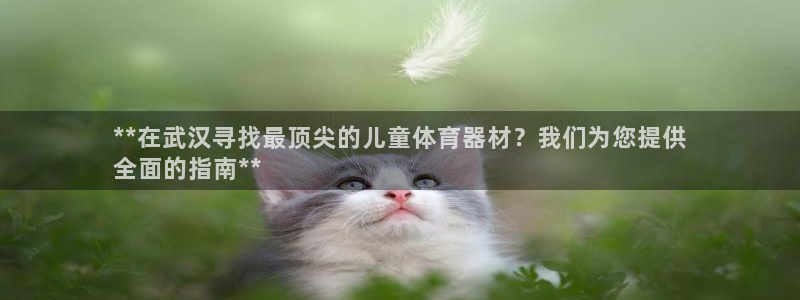 星欧娱乐公司电话号码：**在武汉寻找最顶尖的儿童体育
