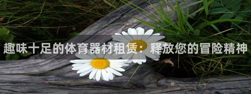 星欧娱乐扣款时间查询方法是什么呢：趣味十足的体育器材