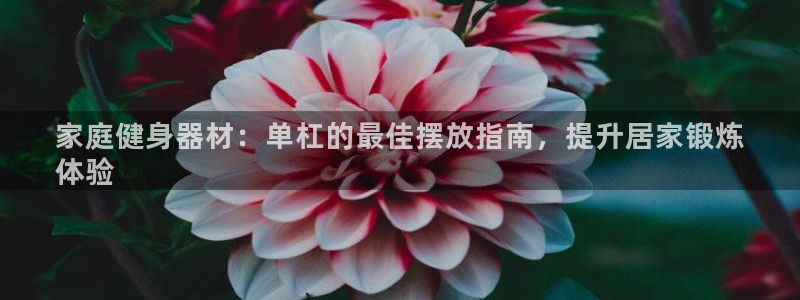 星欧娱乐雀V是什么平台：家庭健身器材：单杠的最佳摆放