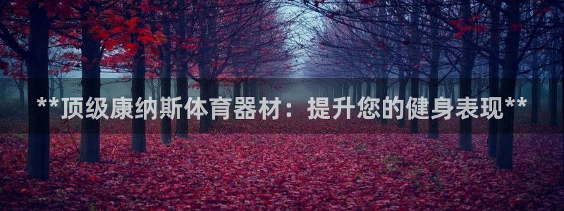 星欧娱乐官网下载安卓：**顶级康纳斯体育器材：提升您
