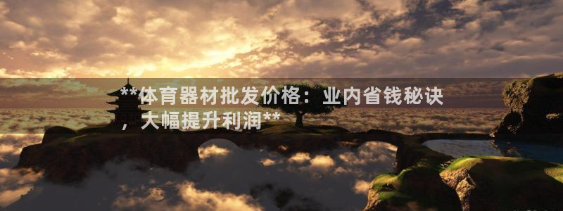 星欧娱乐官网首页入口：**体育器材批发价格：业内省钱