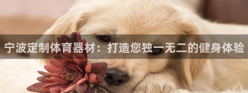 星欧娱乐挂机教程下载：宁波定制体育器材：打造您独一无