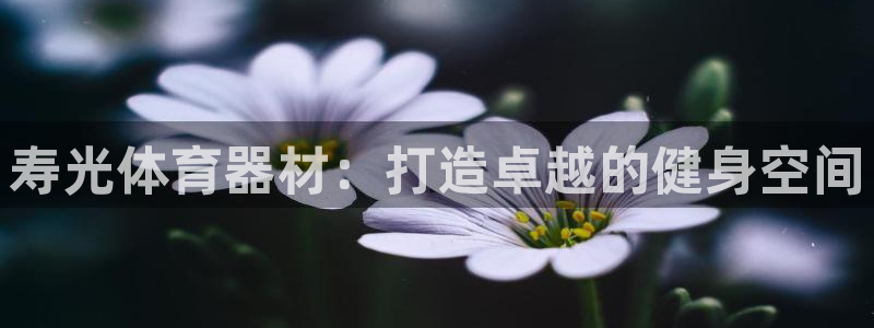星欧娱乐平台告7O777：寿光体育器材：打造卓越的健