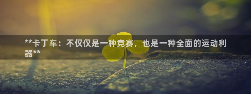 星欧娱乐是正规品牌吗：**卡丁车：不仅仅是一种竞赛，