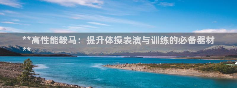 星澳娱乐公司地址：**高性能鞍马：提升体操表演与训练