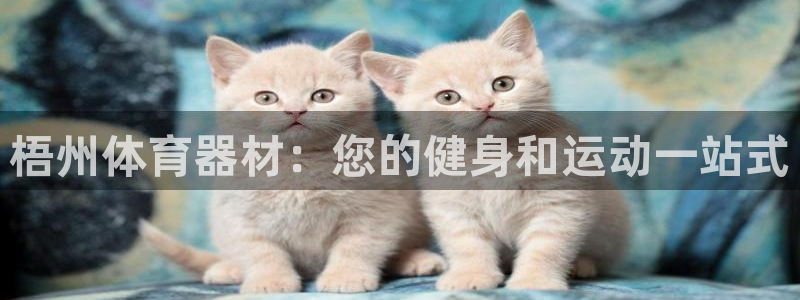 星欧娱乐公司创始人背景故事：梧州体育器材：您的健身和