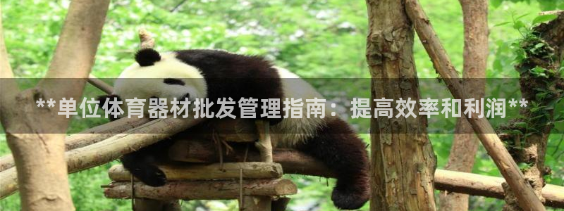 星欧娱乐是正规品牌吗：**单位体育器材批发管理指南：
