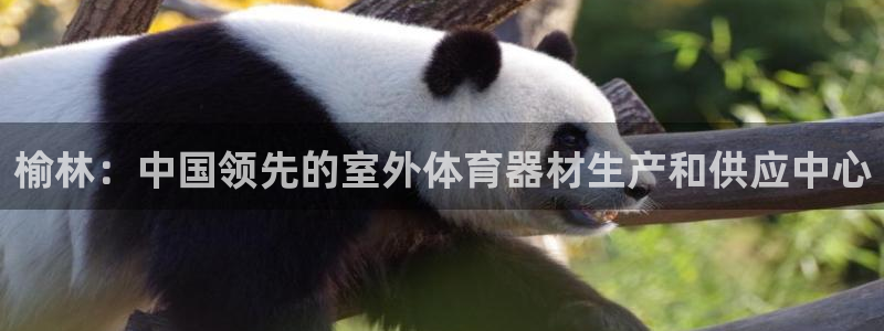 星欧娱乐会员优惠活动：榆林：中国领先的室外体育器材生